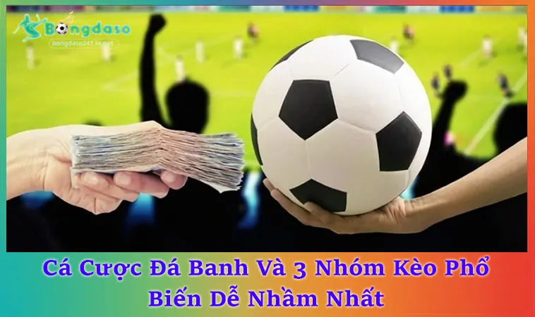 Cá Cược Đá Banh Với 20+ Thuật Ngữ Và Cách Đọc Kèo Chuẩn