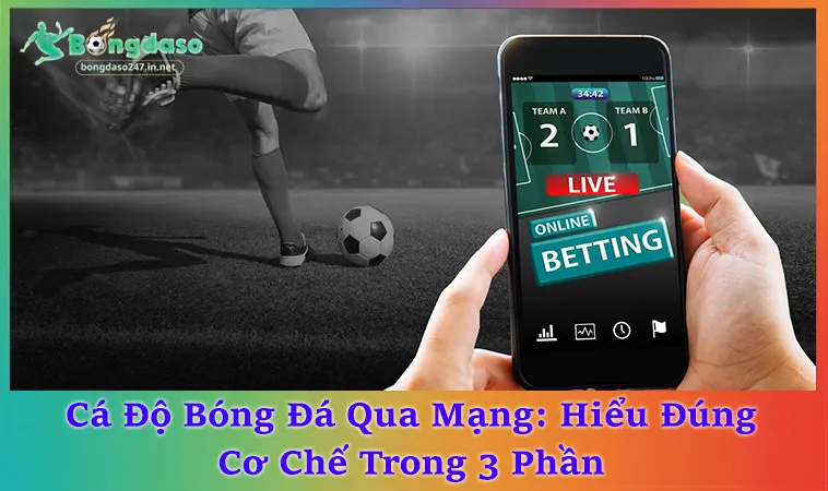 Cá Độ Bóng Đá Qua Mạng Và 6 Yếu Tố Quyết Định Trải Nghiệm