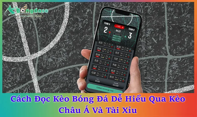 Cách Đọc Kèo Bóng Đá Chuẩn Nhất Qua 3 Nhóm Kèo Cơ Bản