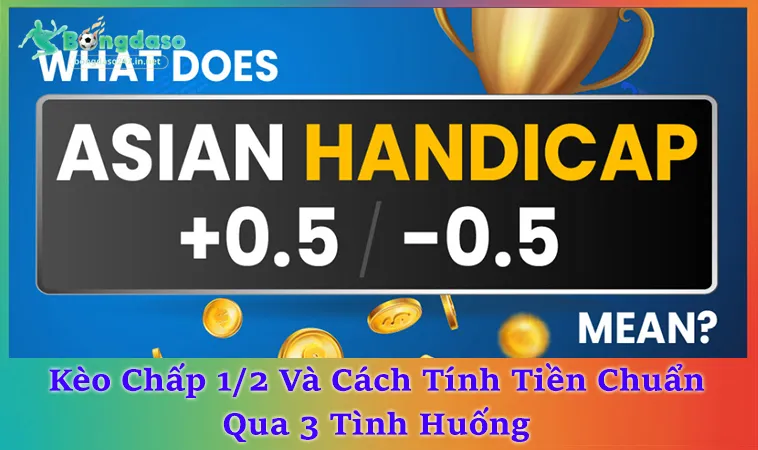 Kèo Chấp 1/2: Cách Đọc Nhanh 3 Kịch Bản Thắng Thua