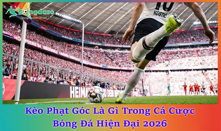Kèo Phạt Góc Là Gì? Hiểu Đúng Qua 3 Góc Nhìn Thống Kê