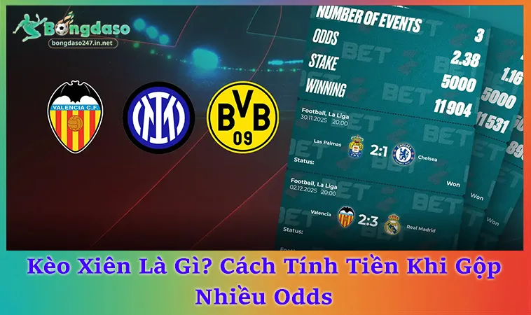 Kèo Xiên Là Gì? Cách Gộp 3-5 Kèo Và Tính Odds