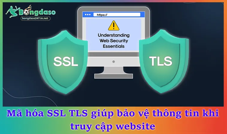 Mã hóa SSL TLS giúp bảo vệ thông tin khi truy cập website