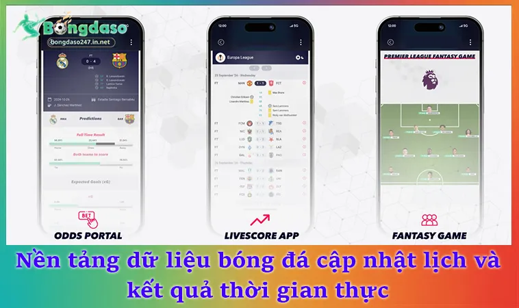 Nền tảng dữ liệu bóng đá cập nhật lịch và kết quả thời gian thực